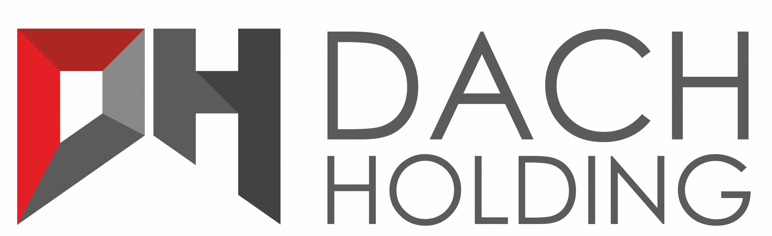 Dach Holding duÅ¼e logo.
